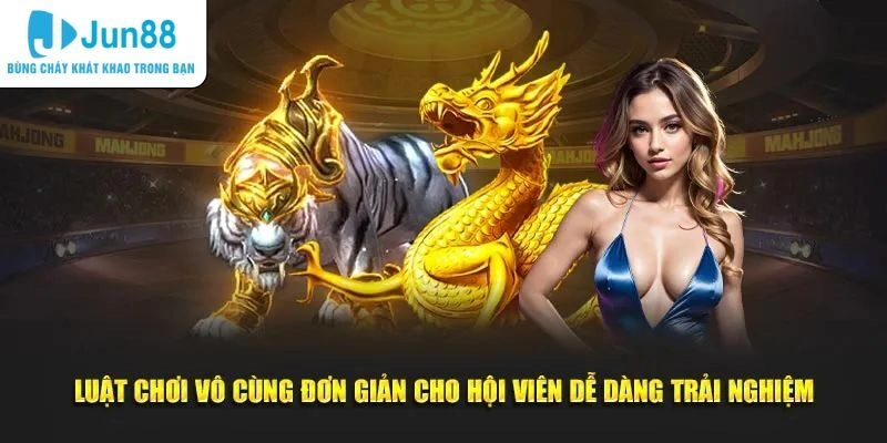 Luật lệ và cách rồng hổ online cho người mới