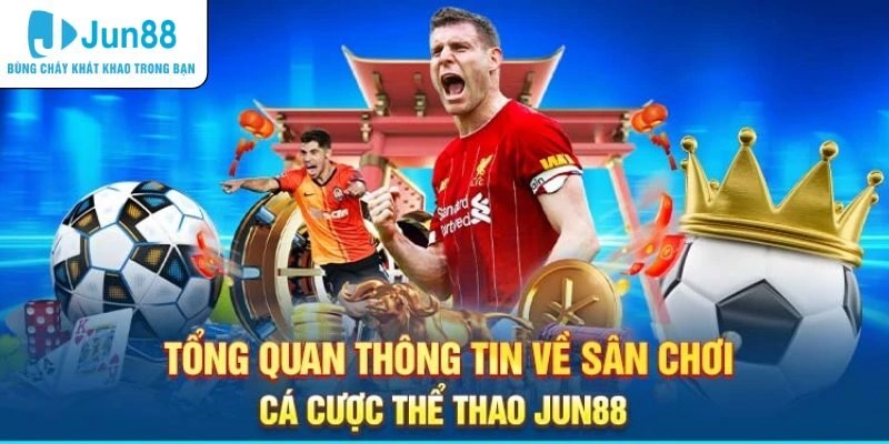 Giới thiệu cơ bản về chuyên mục thể thao cực hot