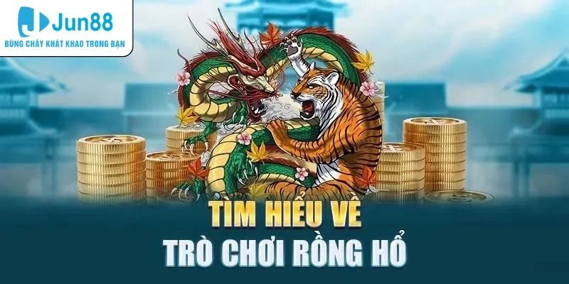 Rồng hổ là gì?